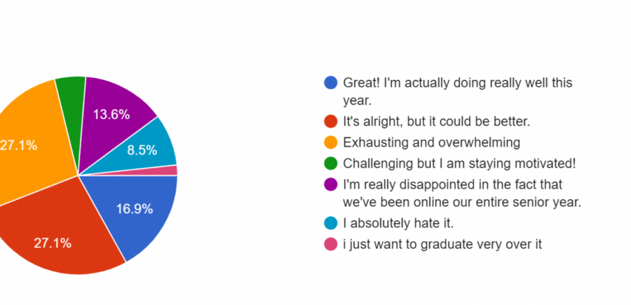 A survey of 58 seniors showed that most Parkdale seniors thought the school year was alright or exhausting.
