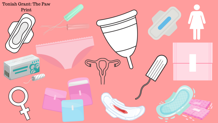 Schools should provide free menstrual products – The Paw Print