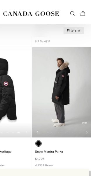 Canada Goose jackets are priced at over $1,000 and have become an easy target for vandals in the Washington-metropolitan area.