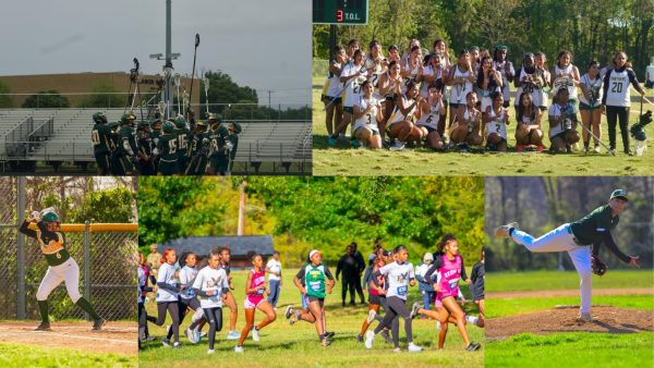 Spring Sports Roundup: Breaking records, making headlines at Parkdale